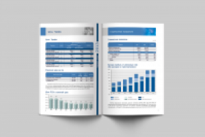 Годовой отчет