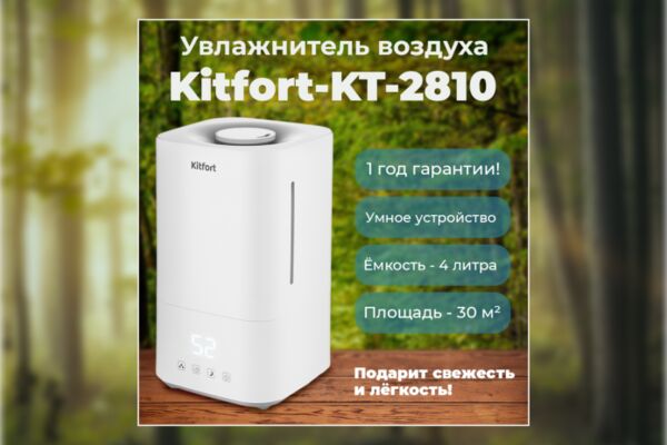 img4222431.png