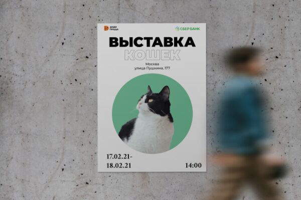 img4235997.png