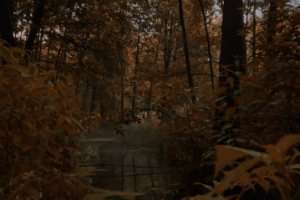 Работа 4037967