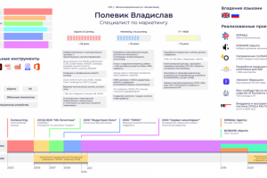 Инфографика-резюме