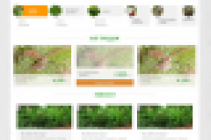 Питомник ФлораГрин