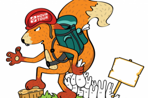 Работа 3337751