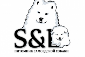 Работа 3333941