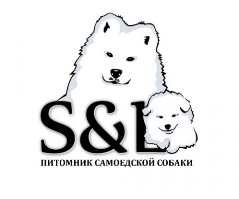 img3333941.png