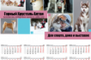 календарь хаски