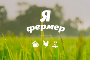 Fermer