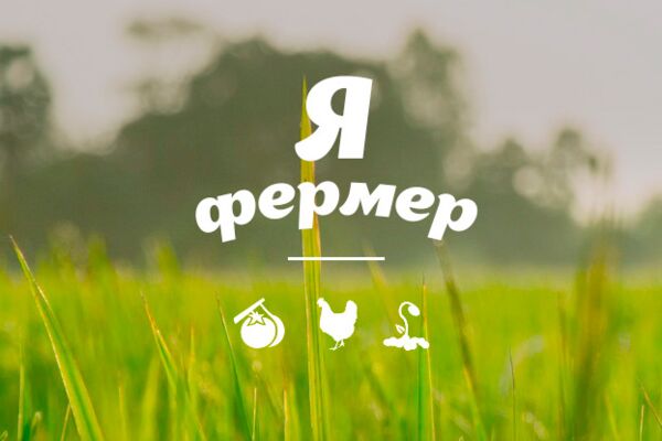 img3479840.png