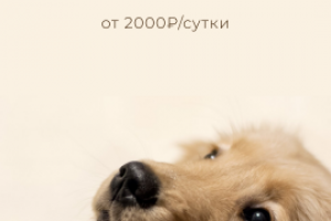 рекламный баннер