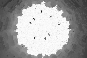 Клип к песне "Февраль"