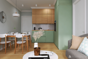 Кухня-гостиная