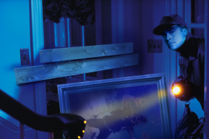 Коллажи со знаменитостями