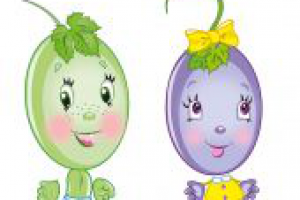 виноградинки