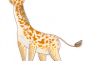 для сайта ТИМ-СЕО