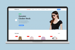 Разработка интернет магазина "Willberries"