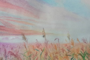 Могу обучить рисованию с нуля