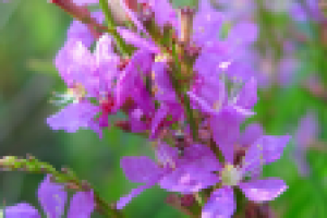 Работа 1506293