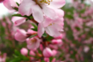 Работа 1506283