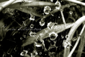 Работа 1506270