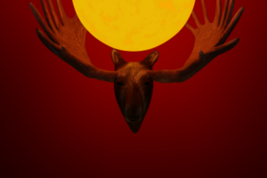 Moose