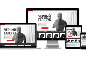 Продающая страница магазина галстуков (Wordpress)