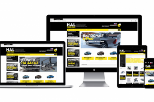 Магазин тюнинга для внедорожников (разработка, поддержка)