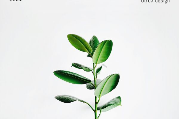 img4192374.png