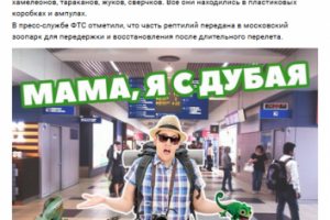 Новостной контент