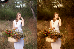 Художественная обработка