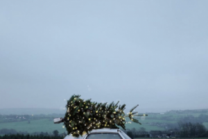 Работа 4161996