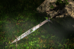 Потерянное оружие