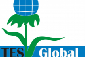 TES Global