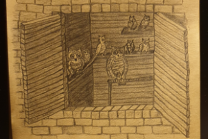 Иллюстрация "Совятня" (Гарри Поттер)