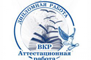 Дипломная работа