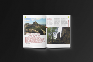 Журнал РискОНСАЙТ