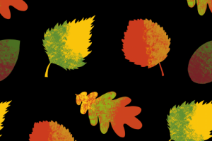 Осенние листья