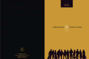 Обложка для годового отчета, Индия,г.Дели