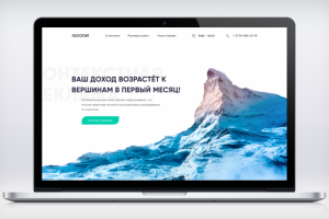 Контекстная реклама - Landing page