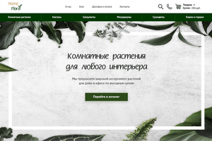 Интернет-магазин комнатных растений "HomeFlora"