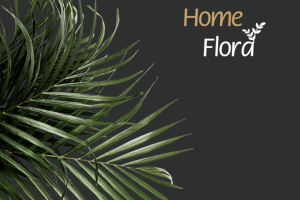 Форма для входа/регистрации в личный кабинет интернет-магазина