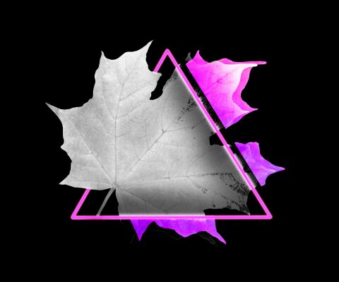 img3543578.png