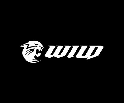 img3157508.png
