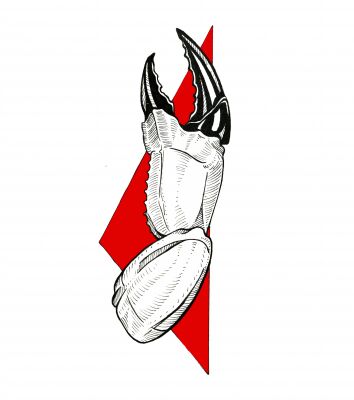 img4182369.png