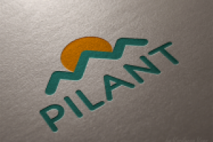 Логотип для строительной компании PILANT