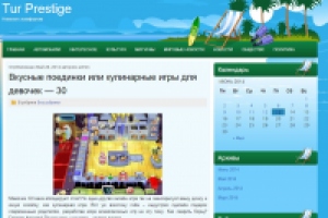 Описание видео игр