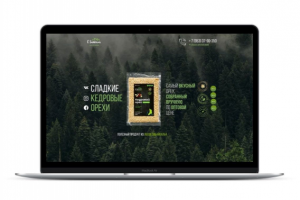 Магазин кедровых орехов