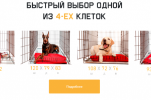 домживотных.рф