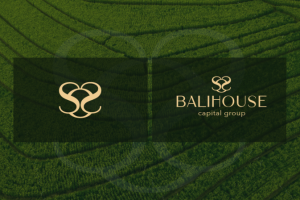 Разработка логотипа