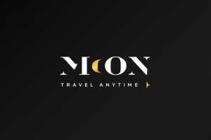 Работа 3338072