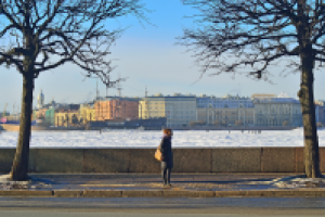 Работа 1654728